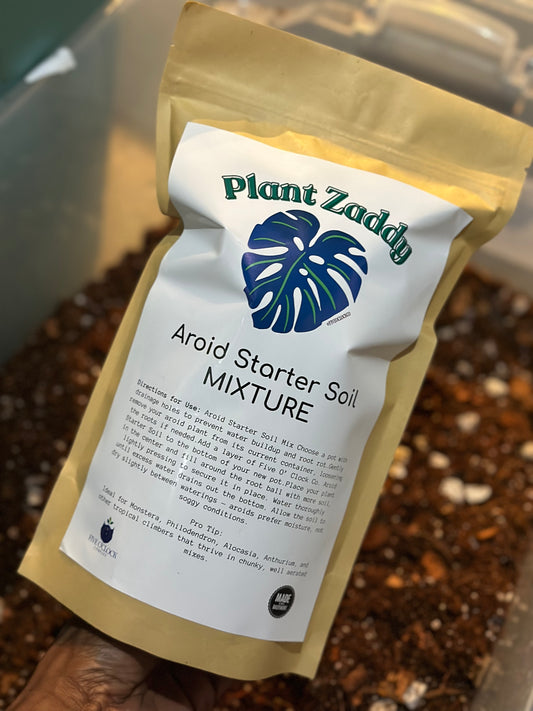 Plant Zaddy Aroid Soil