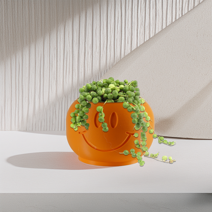 Happy Sprout Smiley Face Plant Pot with Drainage and Drip Tray – Cute Ghibli Decor Planter | Kawaii Hypebeast Pots for Plants | Cubicle & Classroom Decor