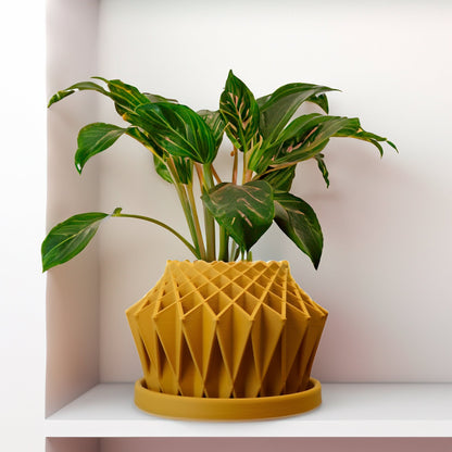 Galaxy Groove Plant Pot