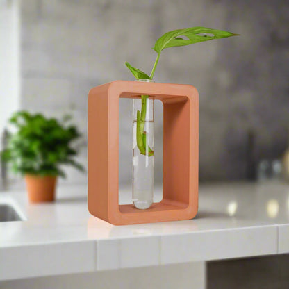 Rectangle Propagation Station